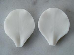 Szilikon Forma - �risz Szirom Erez�