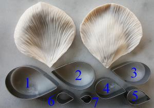 Kisz�r�/erez� szett - R�zsa 3.