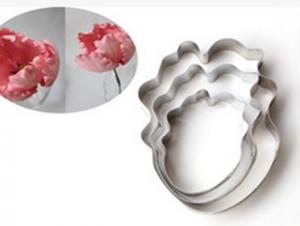 Kisz�r� Papag�jtulip�n