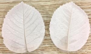 Kisz�r�+erez� R�zsalev�l