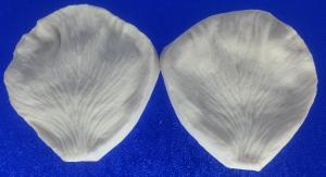 Szilikon Erez� Szirom