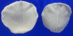 Szilikon Erez� R�zsaszirom