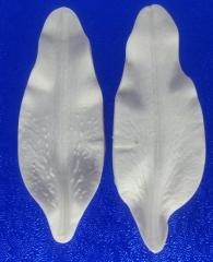 Szilikon Erez� Szirom