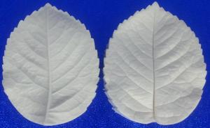 Szilikon Erez� R�zsalev�l