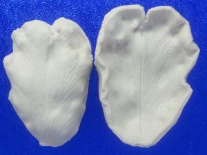 Szilikon Erez� Szirom