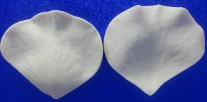 Szilikon Erez� Szirom