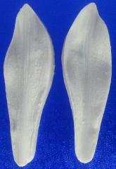 Szilikon Erez� Szirom