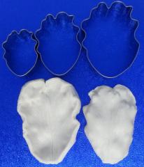 Kisz�r�+erez� Papag�jtulip�n