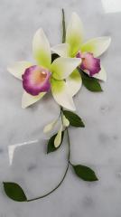 Van�lia Orchidea Csokor F�jt 8db