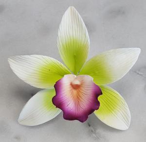Van�lia Orchidea F�jt 9db