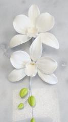 Tr�pusi Orchidea Csokor Feh�r 12db