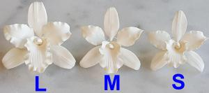 Cattleya Orchidea 2. Fehér L