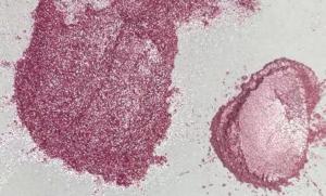 R�zsasz�n szikra