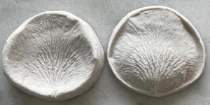 Szilikon Erez� R�zsaszirom 1