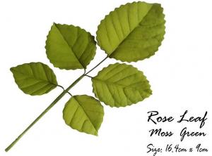 GCP R�zsalev�l 5 leveles z�ld