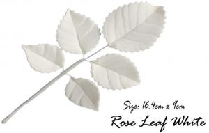 GCP R�zsalev�l 5 leveles feh�r