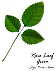 GCP R�zsalev�l 3 leveles z�ld