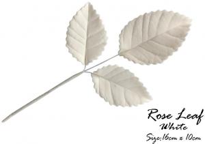 GCP R�zsalev�l 3 leveles feh�r