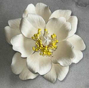 GCP Kiny�lt r�zsa porz�s