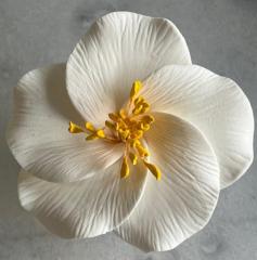 GCP 5 szirm� vir�g feh�r