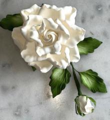 GCP �regr�zsa-csokor Feh�r