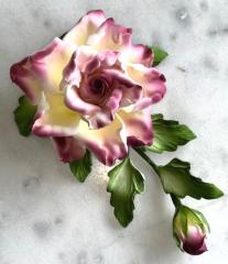 GCP �regr�zsa-csokor M�lyva